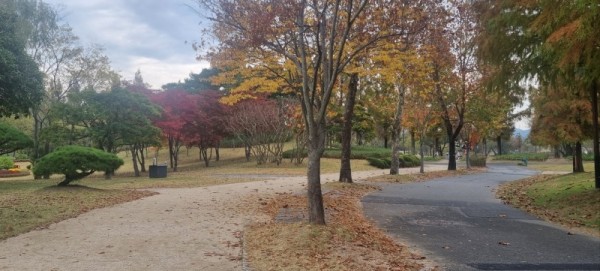 KakaoTalk_20241202_173343205.jpg